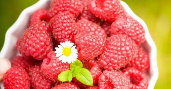 raspberries